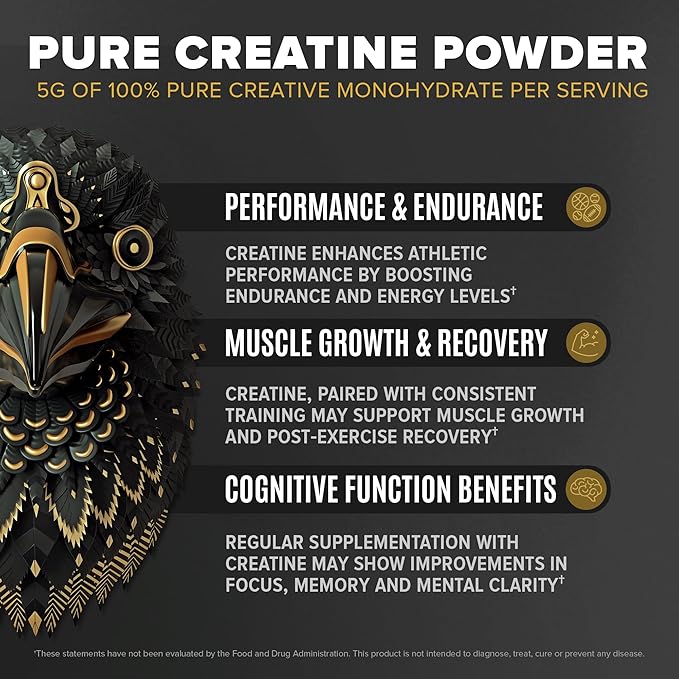 Falcon Performance Vegan Protein Powder, 31g Protein, 5g Creatine, 5g BCAA, Probiotics, Electrolytes, Pre Workout, Low Carb, Sugar Free & Dairy Free, Plant Based Vanilla Protein, 29 Servings