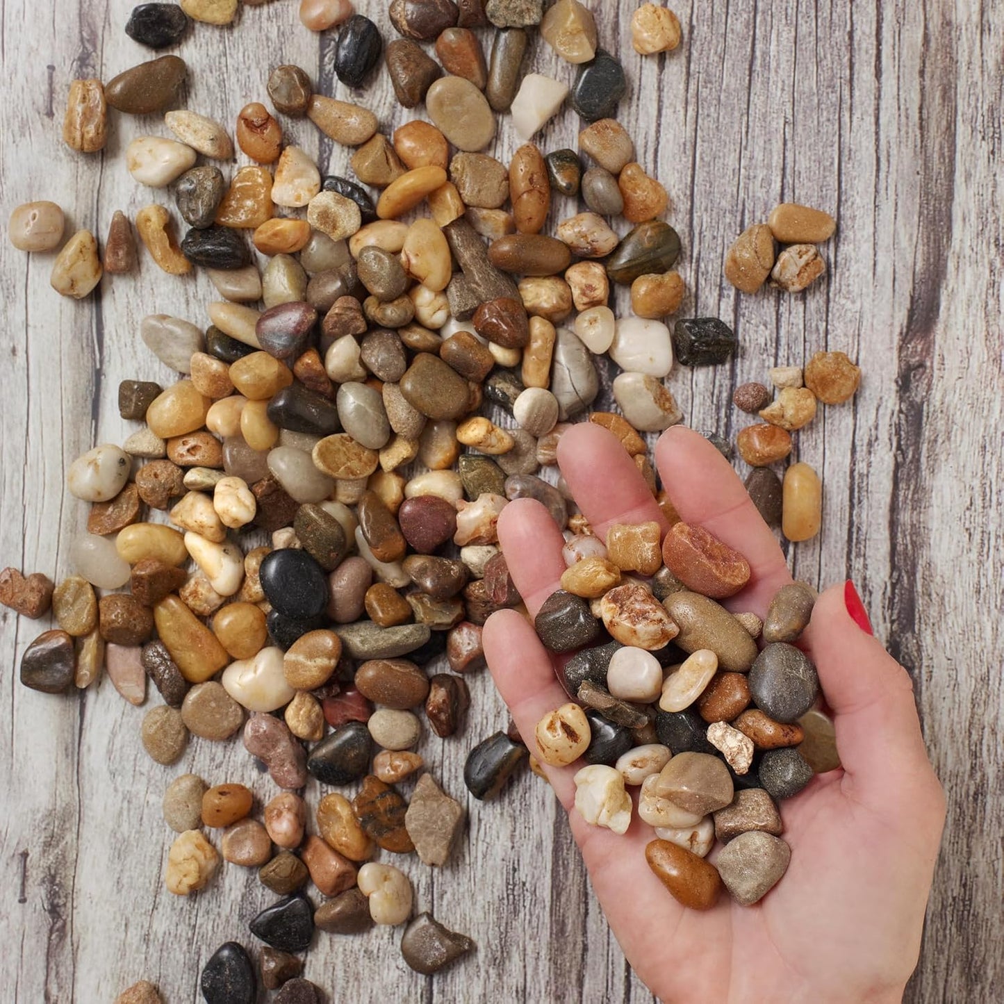 River Rocks Decorative Ornamental Vase Filler 0.5" - 0.75" Natural Aquarium Gravel 30 lbs - Landscaping Pebbles for Indoor Plants, Succulents,Terrarium & Home Decor, DIY & Crafting – Royal Imports