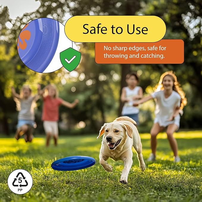 Wham-O Frisbee Fastback Flying Disc, 9.35 Inch Dog-Friendly Lightweight Sports Disc Toy for Outdoor Beach Backyard Games,Team Sports and Family Fun - 100g