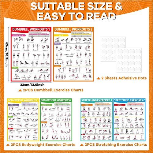 Gisgfim Workout Posters - 6PCS Home Gym Exercise Charts for Dumbbell & Bodyweight Stretching