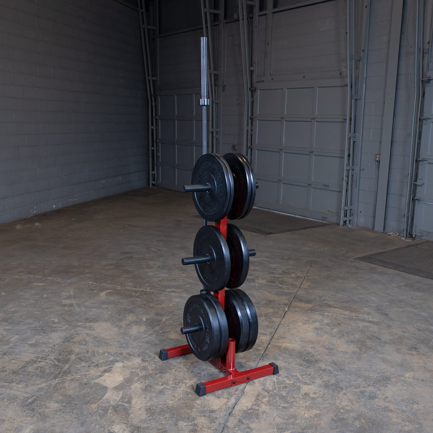 Body-Solid (BFWT10B) Weight Tree Rack for Olympic Plates - Bumper Plate Storage, Weight Plate Holder