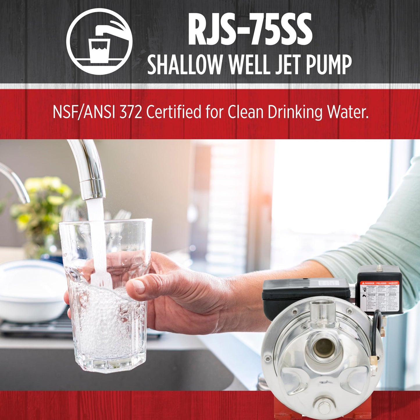 Red Lion RJS-75SS 115/230 Volt, 3/4 HP, 12.8 GPM Stainless Steel Shallow Well Jet Pump For Wells Up To 25' Deep, Red, 97080702