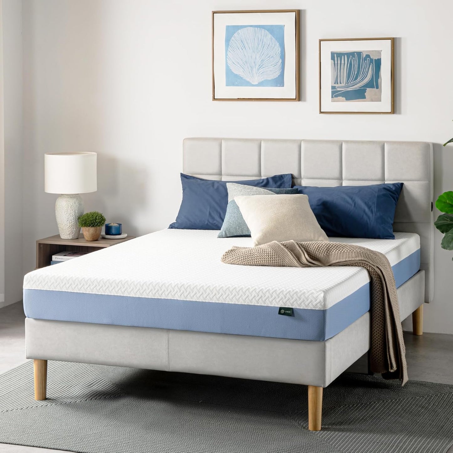 Zinus 8 Inch Queen Memory Foam Mattress - Cooling Comfort, Fiberglass Free, Medium Feel, Safe Materials