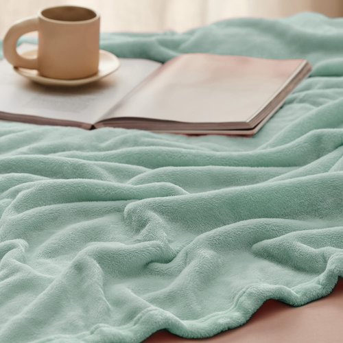 Bedsure GentleSoft Fleece Blanket - Sage Green Queen Size | 280GSM Soft, Lightweight & Cozy for Home or Travel