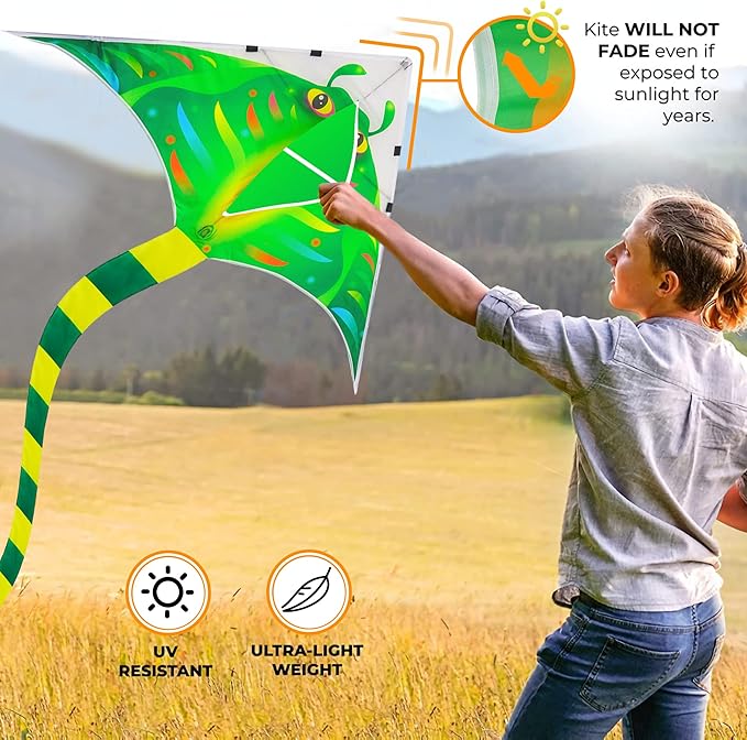 Large Kites for Adults Kites for Kids Ages 4-8， 8-12 Beach Park Outdoor Game Activities, Gifts for Easter and Festival