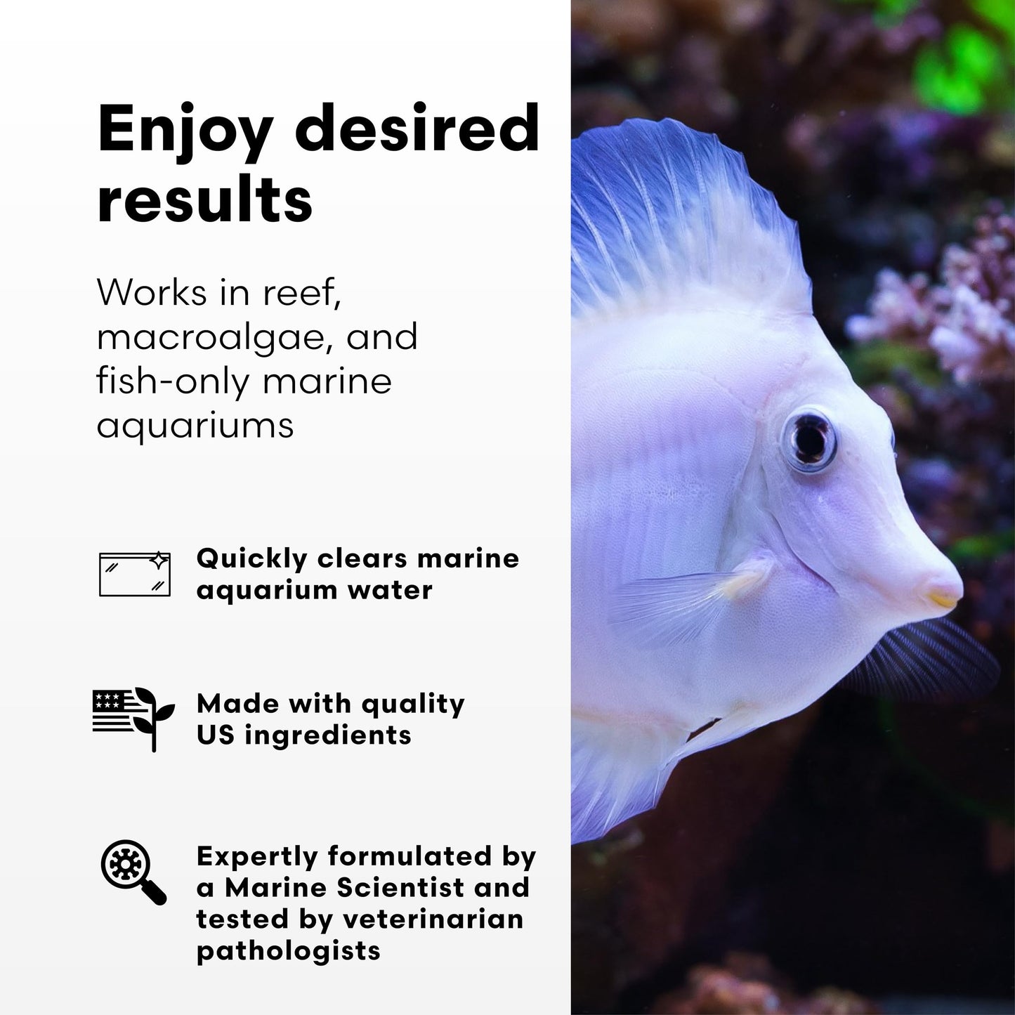 Brightwell Aquatics Clarifī-SW Marine Water Clarifier for Saltwater Aquariums Enhances Water Clarity by Removing Cloudiness with Protein Skimming and Mechanical Filtration Compatibility, 20L