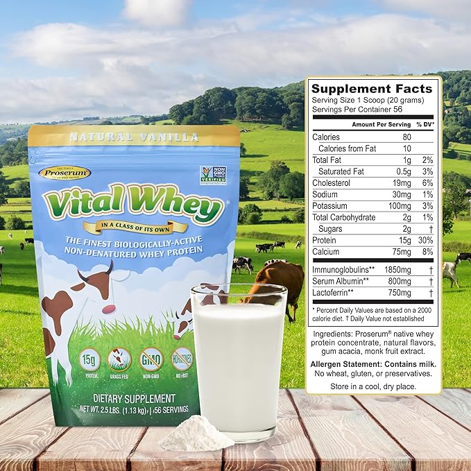 Grass-Fed Whey Protein Powder for Immune Vitality, Natural Vanilla 600g (30 Servings), 15g Protein Per Serve, Vital Whey, Clean Holistic, Wellness Nutrition