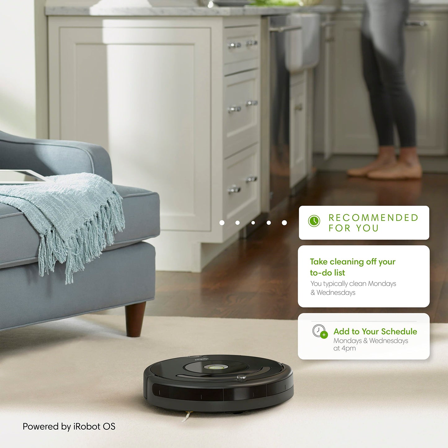 iRobot Roomba 675 Robot Vacuum - Easy to use, Power-Lifting Suction, Multi-Surface Cleaning, Smart Navigation Cleans in Neat Rows, Self-Charging, Alexa