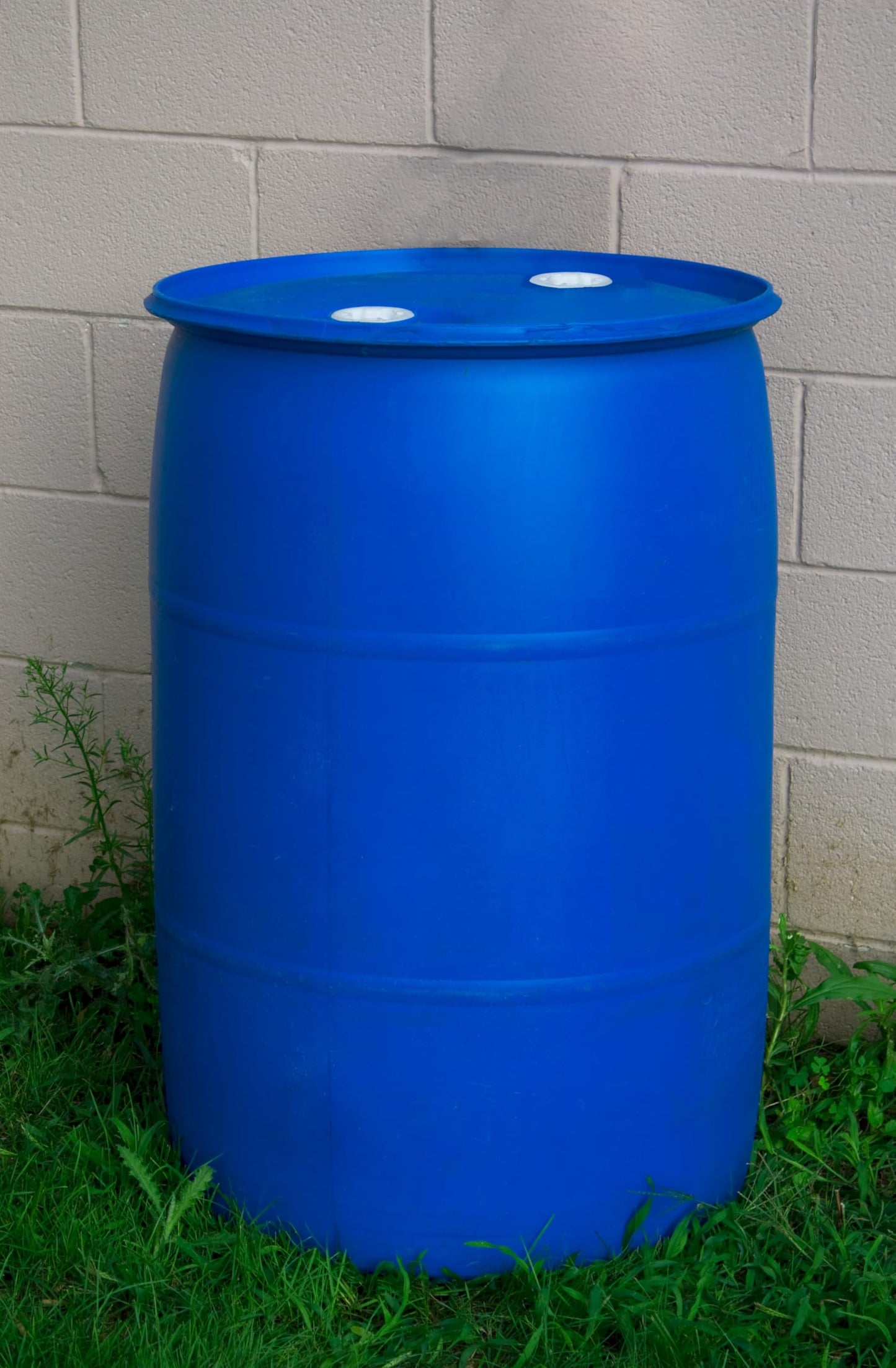 Bushman 55 Gallon Stackable Tight Head Drum - Closed Lid Blue
