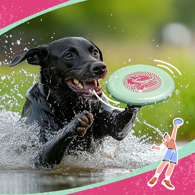 Wham-O Frisbee Go Flying Disc, 9 Inch Lightweight Sports Disc for Beginners Outdoor Beach Backyard Lawn Park Camping Family Activity Game - 70g