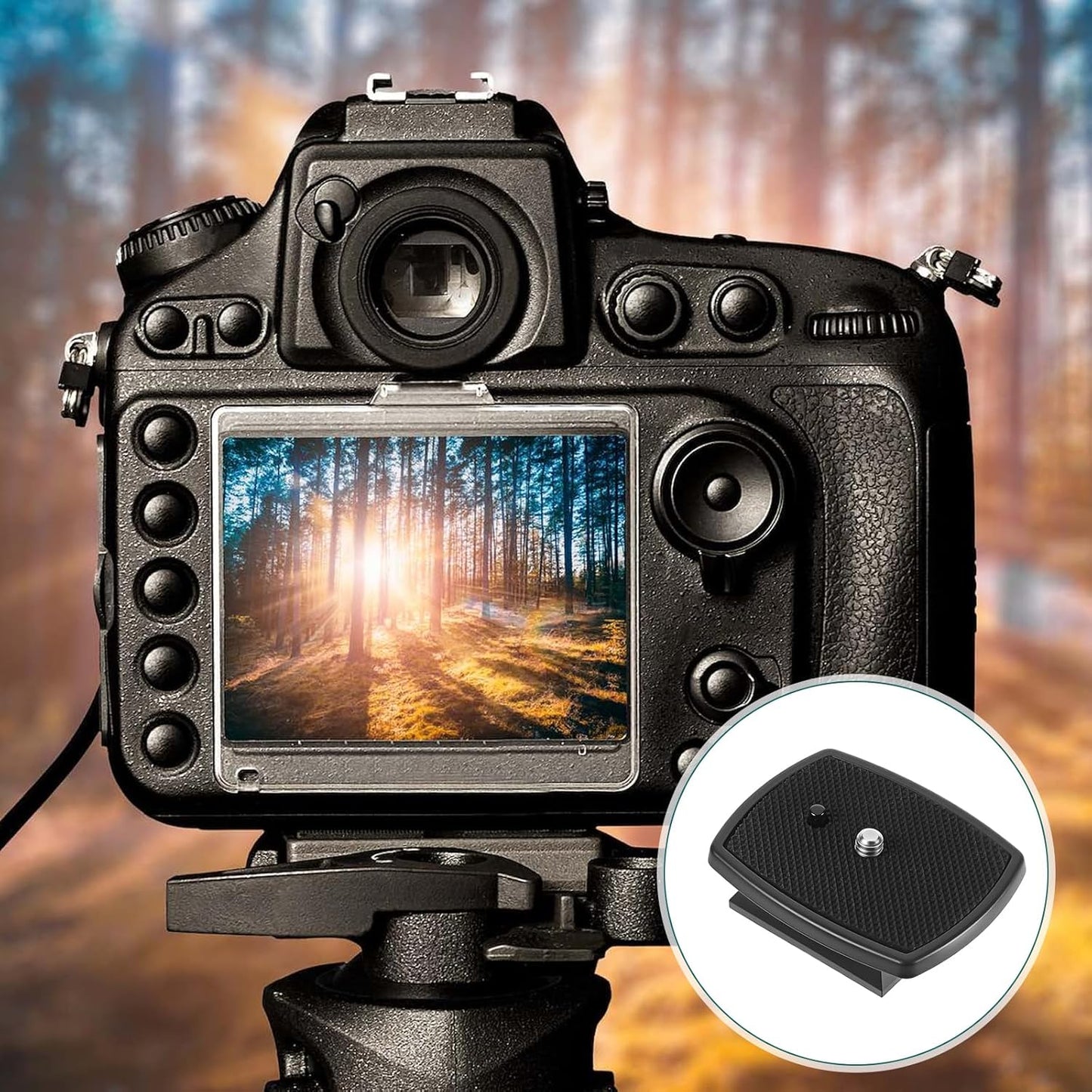Zelphvt 2 43mm pcs Tripod Quick Release Plate Camera Quick Release Plate Replacement Tripod Accessories for Tripods