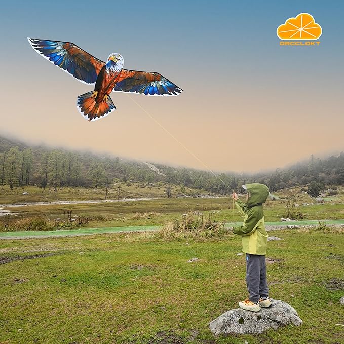 ORGCLDKT- 3D Lifelike Style Bird/Eagle Kite, Super Easy to Fly with, Ideal for Kids, Adults, Girls, Boys. Kites for The Beach, Grassland, Hiking
