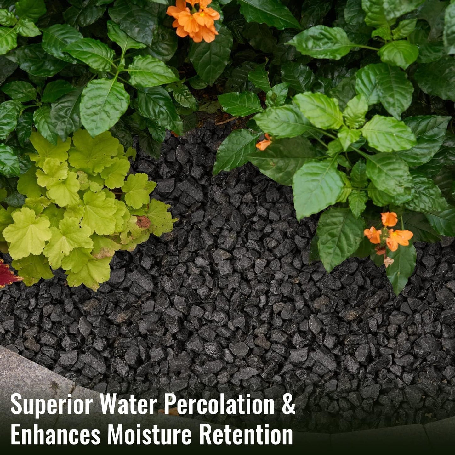 NUPICK 10 Pound Gravel Rocks, 0.5-0.7 Inches Polished Pebbles for Plants, Fish Tank, Clear Vase and More, Natural Black Stones