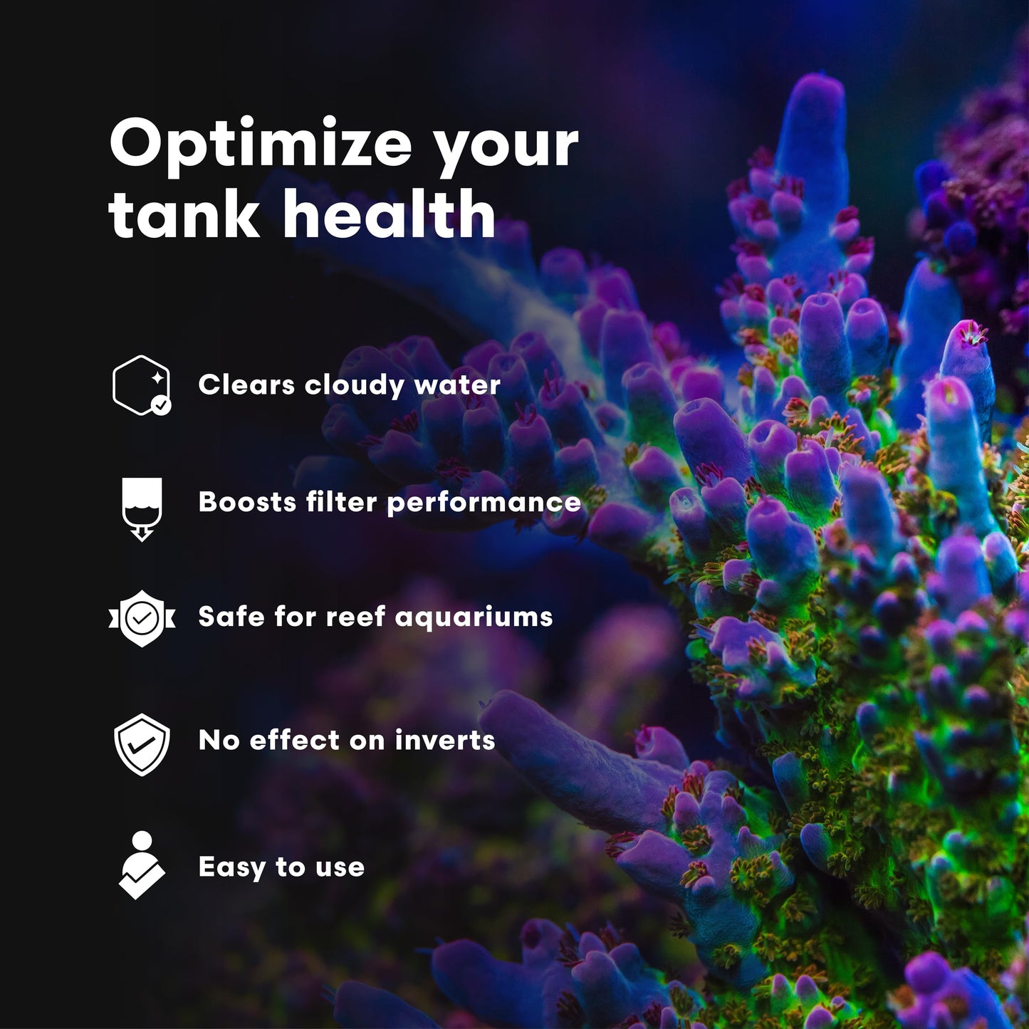Brightwell Aquatics Clarifī-SW Marine Water Clarifier for Saltwater Aquariums Enhances Water Clarity by Removing Cloudiness with Protein Skimming and Mechanical Filtration Compatibility, 20L