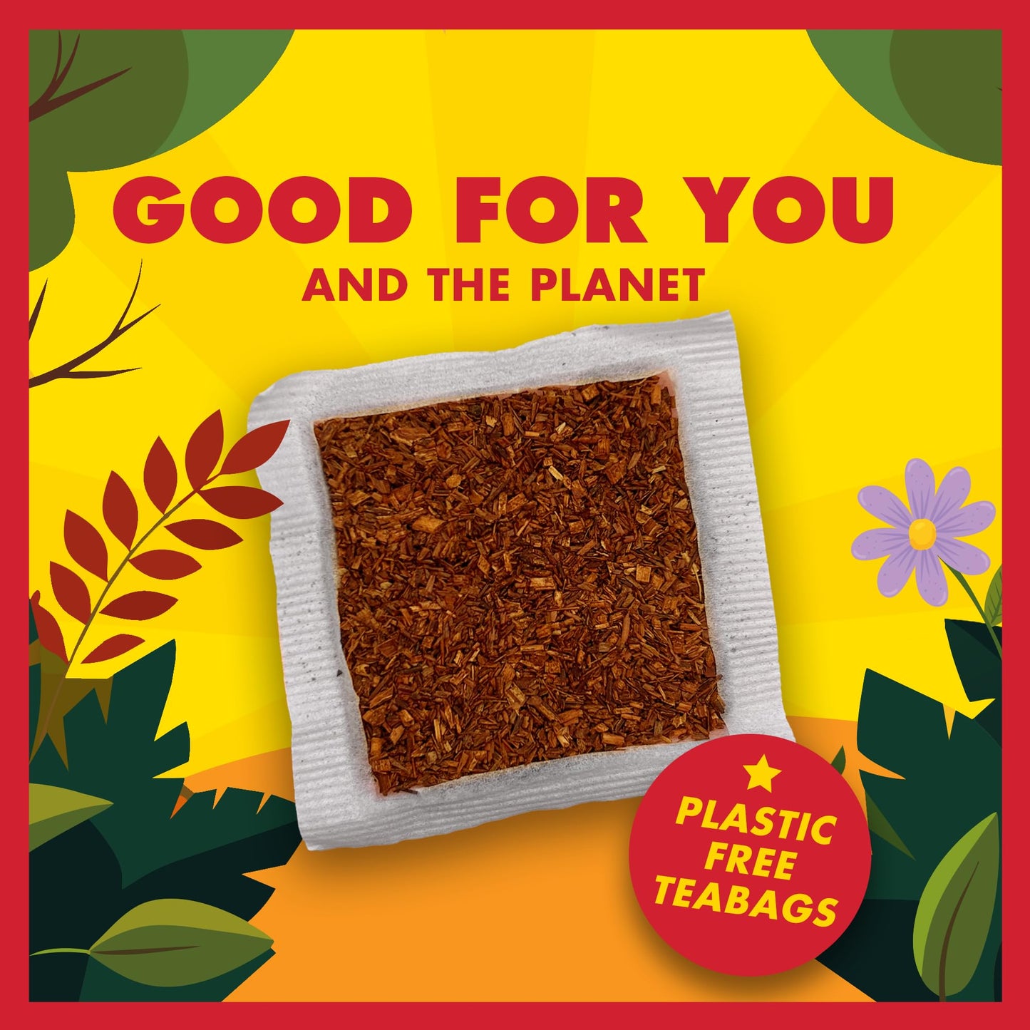 Organic Rooibos Tea Bags - 100 Count - Caffeine Free, Naturally Sweet, Antioxidant-Rich - Rooibos Tea Organic Made In South Africa - BOS