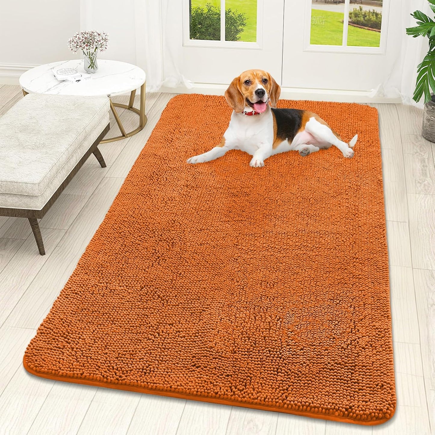 OLANLY Dog Door Mat - Absorbent Non-Slip Chenille Mat for Muddy Paws | 59x32, Quick Dry, Indoor Carpet