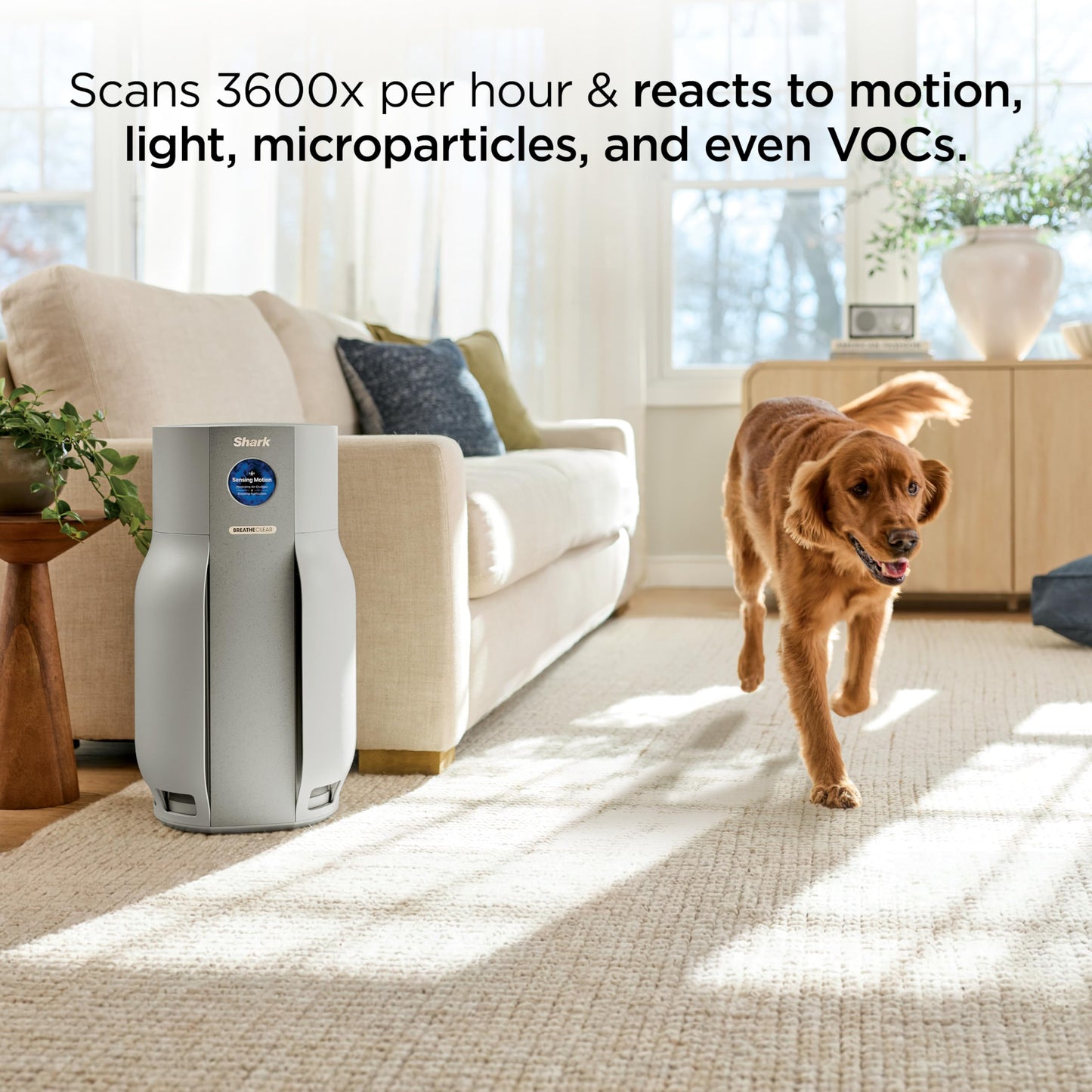 Shark BreatheClear Max, Smart Air Purifier For Whole Home or Large Room, Motion Sensing, HEPA-Exceeding In All Modes, No Filter Changes up to 6 Years, Dove, HP362 (2026)