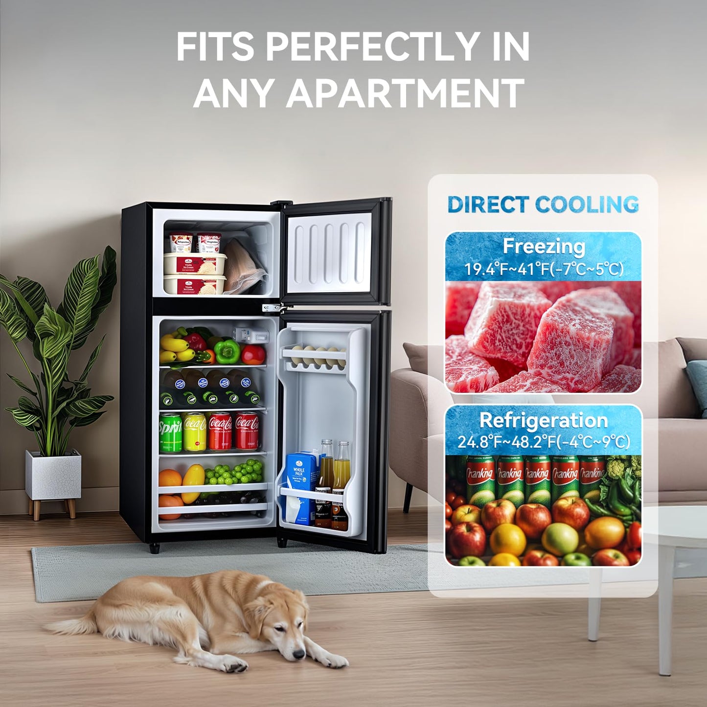 Anypro 4.0 Cu.Ft Fridge with Freezer, Double Door Refrigerator with 6 Level Thermostat, LED Light, Adjustable Glass Shelves for Bedroom, Office, Dorm, Apartment, Black
