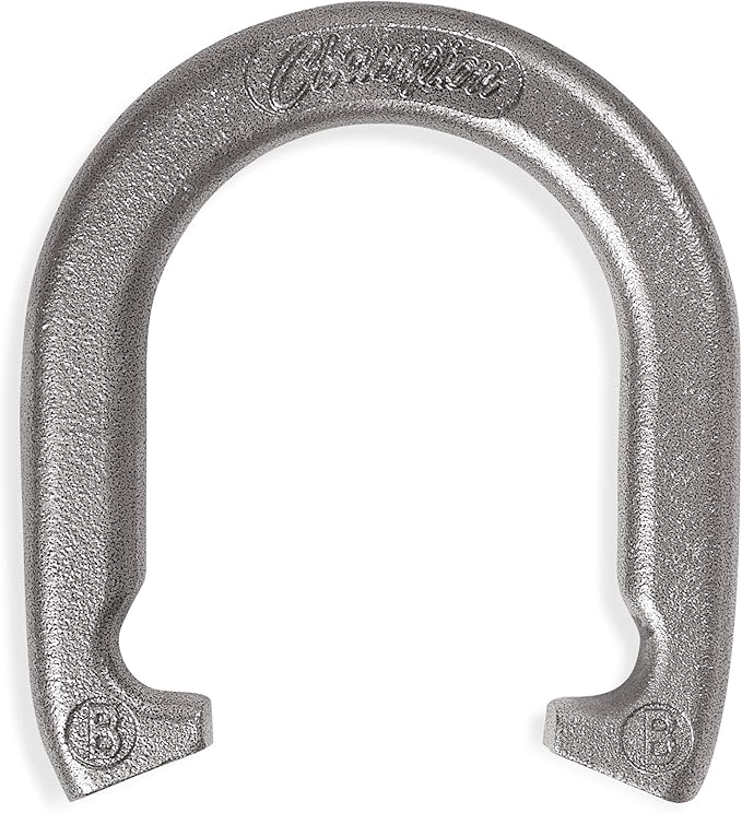 Champion Sports Horseshoe Set: Traditional Outdoor Lawn Game includes Four Professional Solid Steel Horseshoes with Solid Steel Stakes & Carrying Storage Case