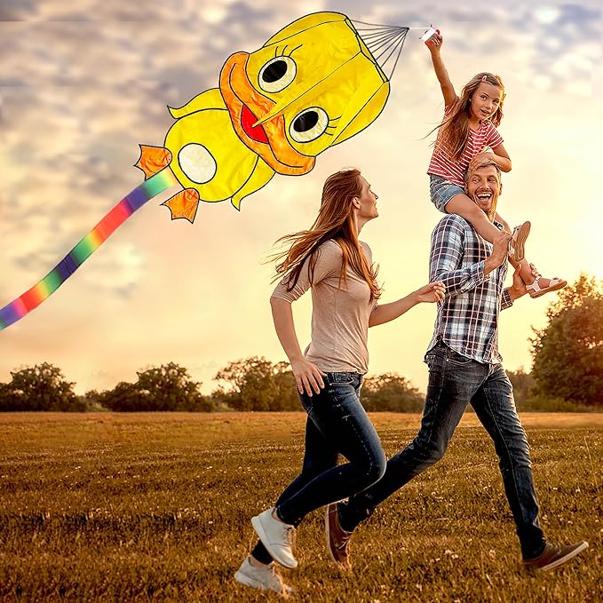 Duck Pattern Kites for Kids, Cute Large Kite Duck Kite with Long Colorful Tail for Kids & Adults, Easy to Fly Kite for Beginners Outdoor Activities