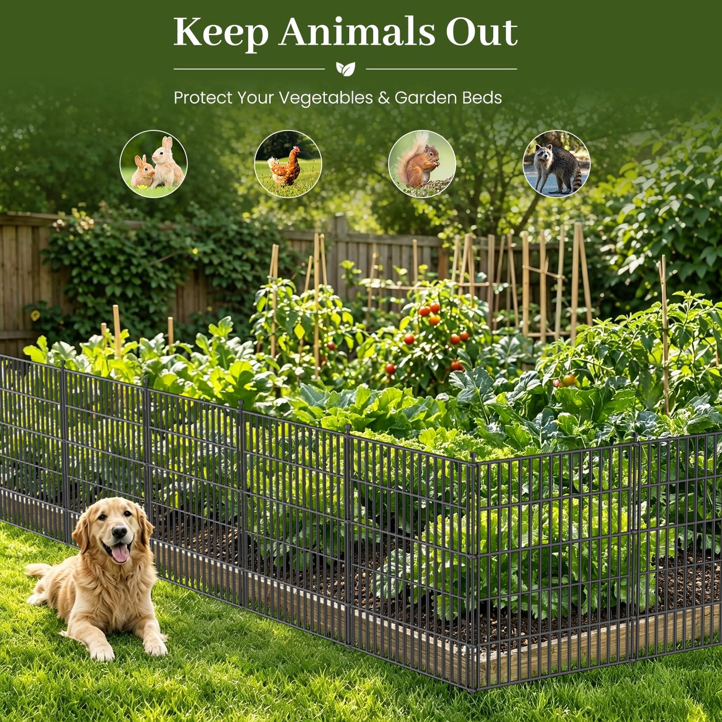 10 Panels No Dig Decorative Outdoor Garden Fence with Gate for Yard, 48 in(H) X 23.6ft(L) Animal Barrier Fencing Rustproof Metal Wire Panel Border for Dog, Rabbits, and Patio Temporary Ground Stakes