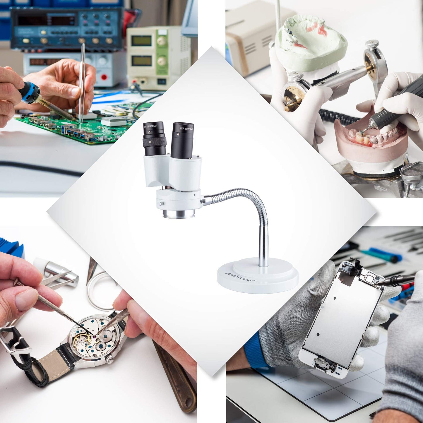 AmScope - 8X Binocular Stereo Microscope w/ 360 Revolve + 8W Fluorescent Ring Light - Gooseneck Illuminator Set for Dental, Lab, Electronic Repairs - SE508-FRL
