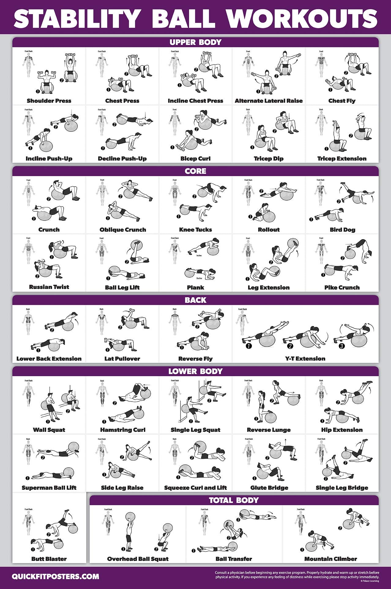 Palace Learning 2 Pack, Half Balance Ball Workout Poster + Yoga Ball Exercise Chart - Set of 2 Workout Posters (LAMINATED, 18" x 24")
