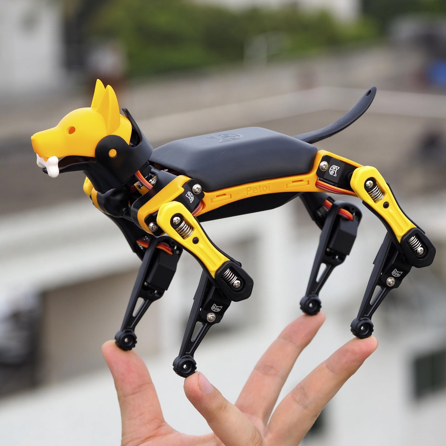 Petoi Programmable Robot Dog Bittle X V2 Lite Servo | Coding Smart Robot Dog Kit, Voice Controlled, Quadruped Interactive Robot for Kids (Bittle X V2 - lite servos - pre-Assembled - Yellow + Black)
