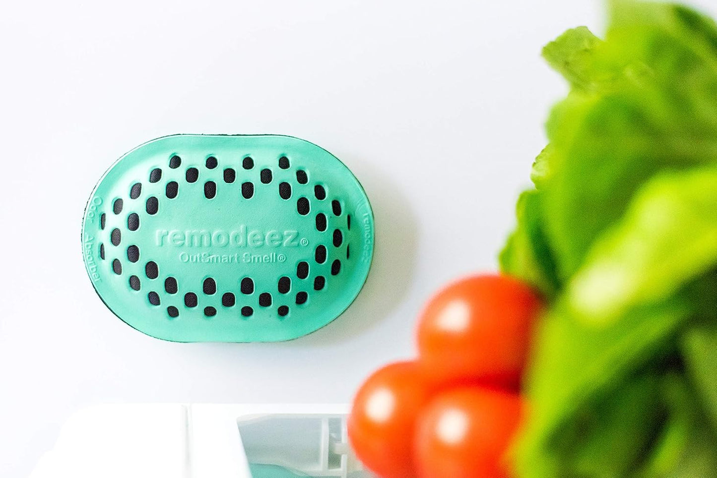 Remodeez Refrigerator Deodorizer - Activated Charcoal Bags | Odor & Moisture Eliminator