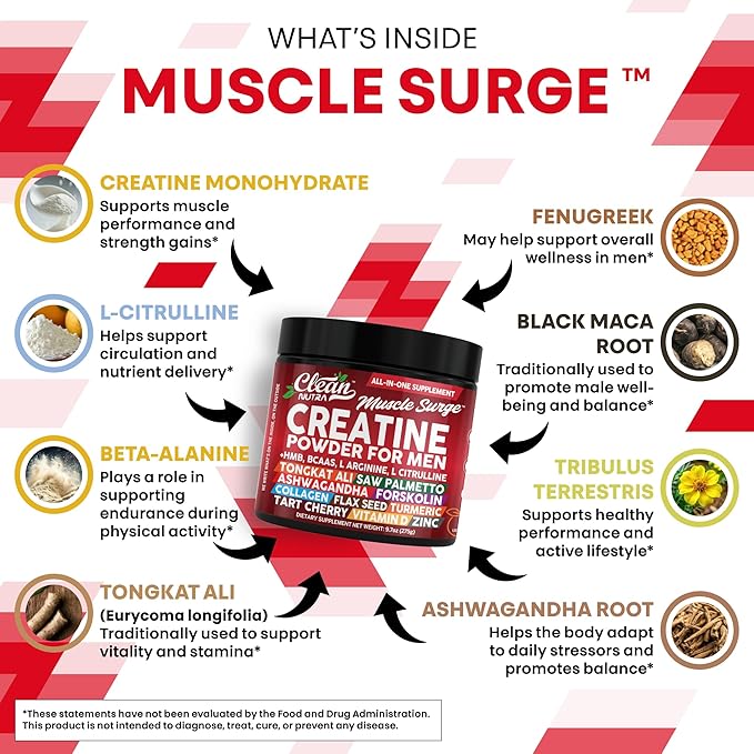 Clean Nutra Creatine Powder for Men + HMB BCAA L Arginine L Citrulline Tongkat Ali Saw Palmetto Ashwagandha Collagen Flax Seed Turmeric Preworkout Stevia Nitric Oxide L Glutamine Amino Acids