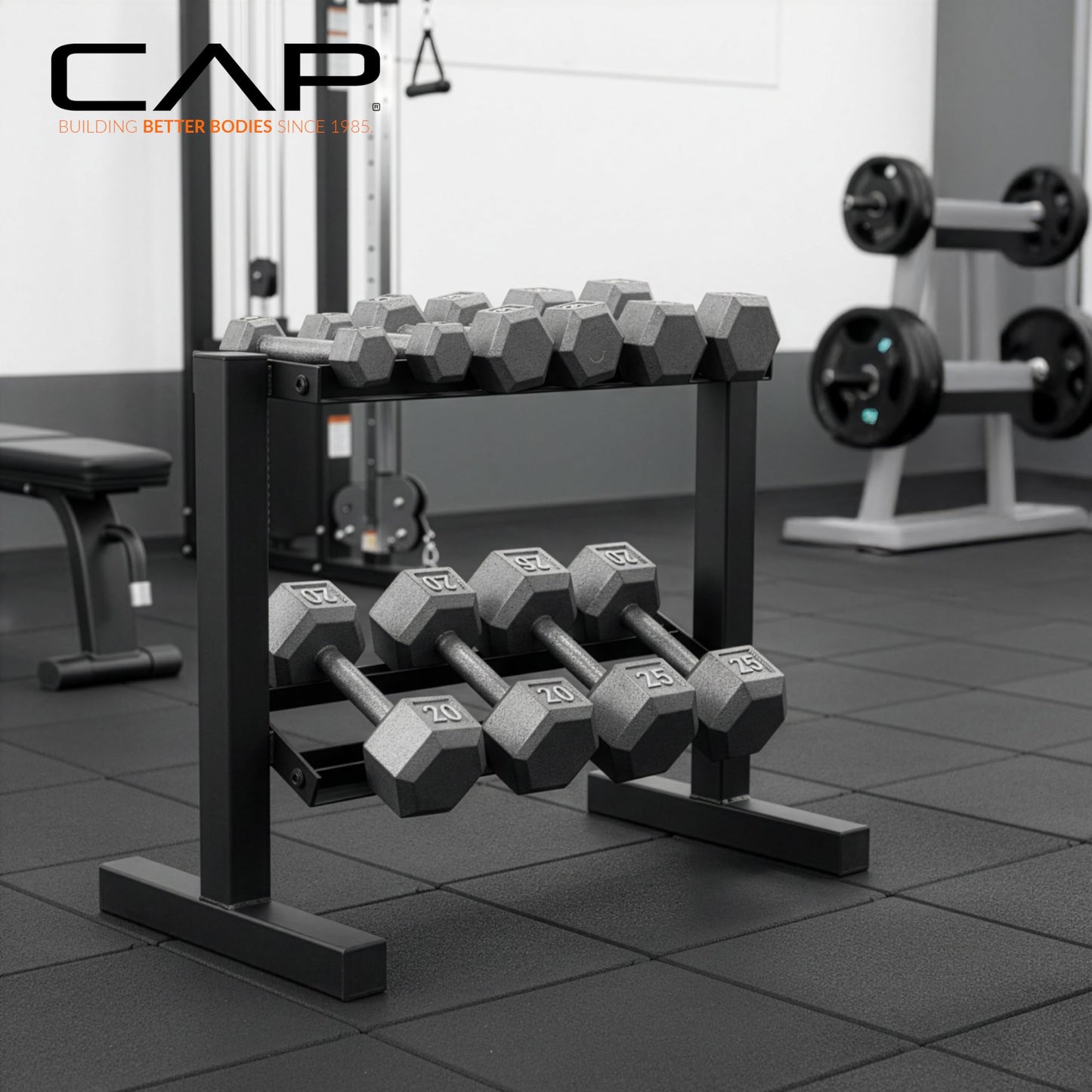 CAP Black 24-Inch Dumbbell Storage Rack for Home Gym, 2-Tier Heavy-Duty Steel Weight Rack for Hex Dumbbells, Holds 5lb - 25lb Pairs