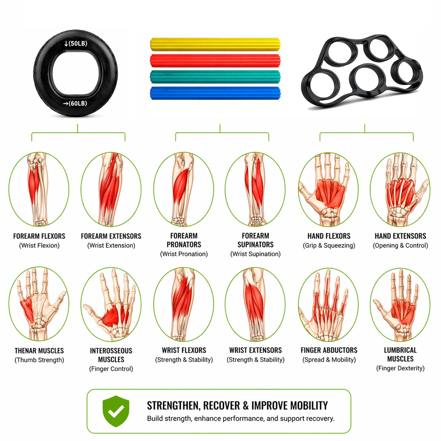 THERAPHY FiT Flex Bars Training Kit with Hand Therapy Ring and Finger Exerciser - 4 Resistance Bars Set for Elbow Therapy and Grip Strength - Relieves Tennis Elbow Pain - Flex Bars for Physical Therapy