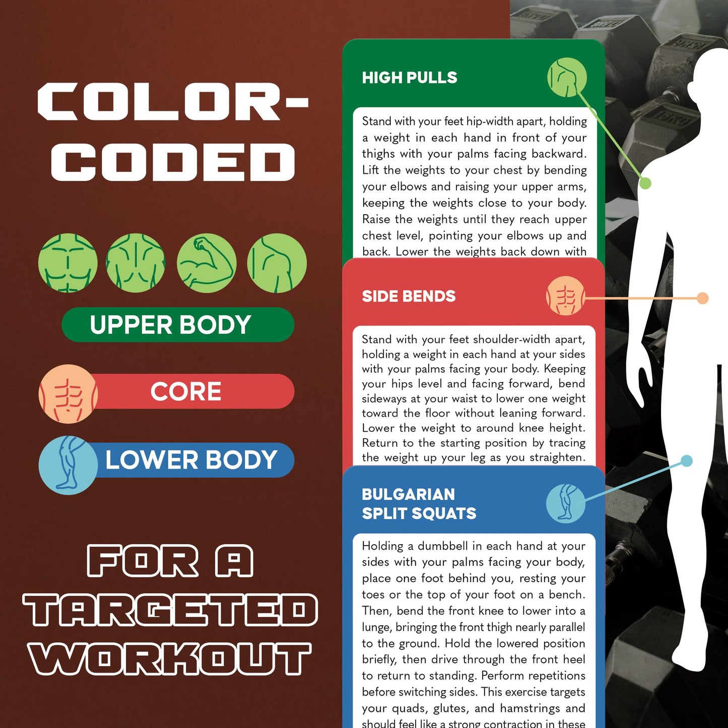 75 Dumbbell Workout Cards – 3.5” x 2.5” Full Body Weight Training Exercise Deck – At-Home Fitness Guide for Men and Women – Get Stronger With 12 Pre-Made Strength Workouts