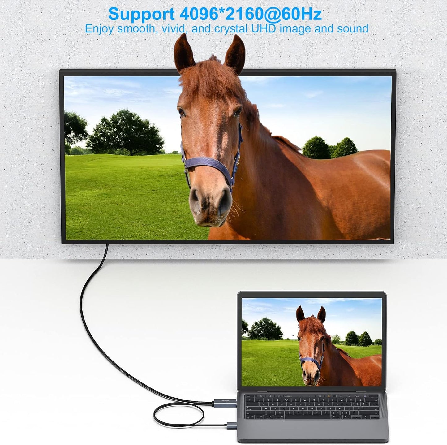 BENFEI 6 PS5 One(360) 4K@60Hz 2K@144Hz 1080P@165Hz(Not HDMI to DisplayPort Cable, Feet HDMI Source to DisplayPort