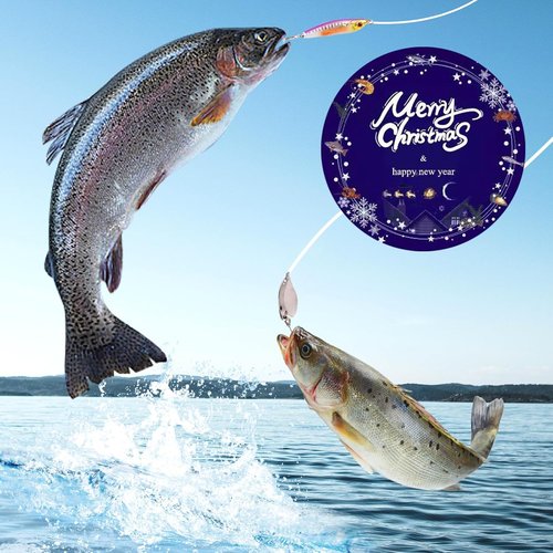 Lihome Fishing Advent Calendar 2026 - 24-Day Fishing Lure Set for Men & Boys | Freshwater & Saltwater GEA
