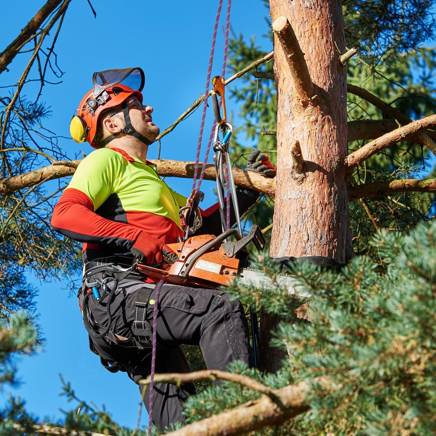 Arborist Rope Tree Climbing Rope(1/2 Inch x 100ft) 48 Strands Bull Rope for Construction Climbing Swing Sailing