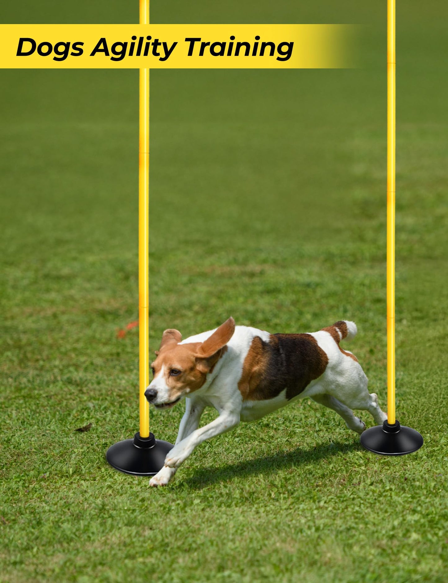 SEAOTTER Soccer Agility Poles Set, 4/6/10 Pcs 6FT Detachable Sports Trainning Speed Poles Slalom Poles with Rubber Base, Agility Training Equipment for Football, Rugby, Basketball, Indoor & Outdoor