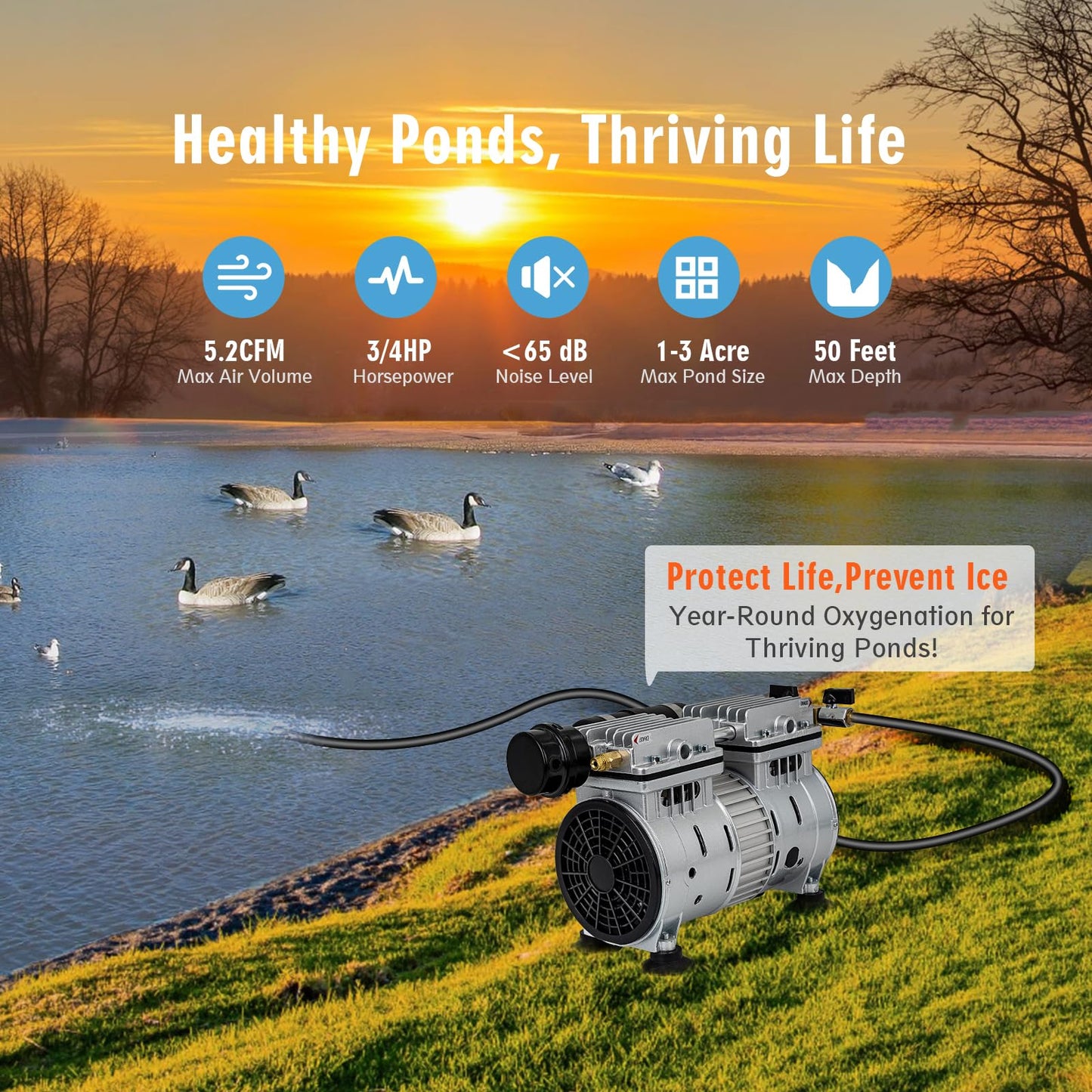 Pond Aerator, 3/4 HP Compressor for Up to 3 Acres, Dual Adjustable Outlets, Timer, Valves. Bubbler Up to 60 Feet Deep, Pond Aerators/Pond Pumps for Outdoor Ponds
