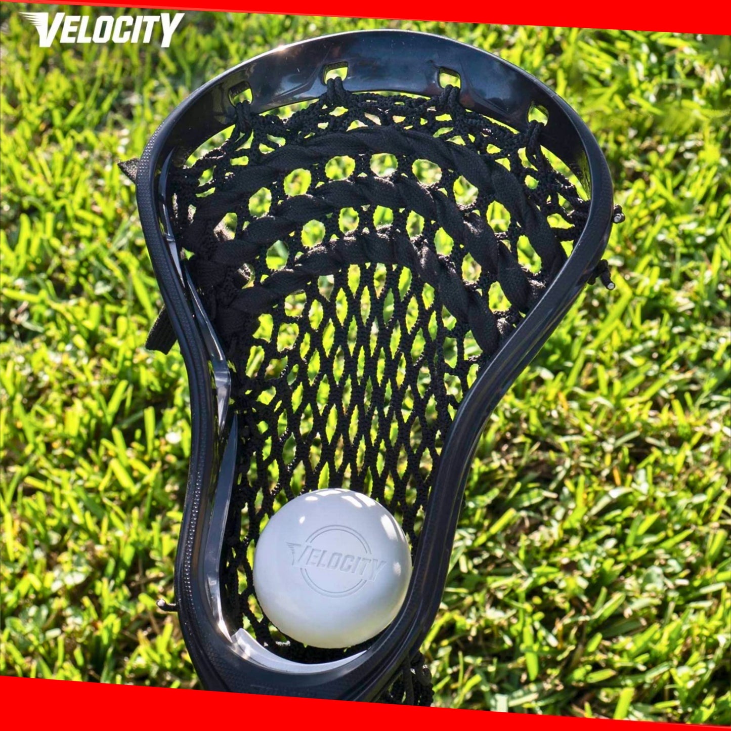 Velocity Practice Lacrosse Balls - 1, 2, 3, 6, 12, 18, 24, 36, 60 and 120 Packs - Official Size and Weight - Pink