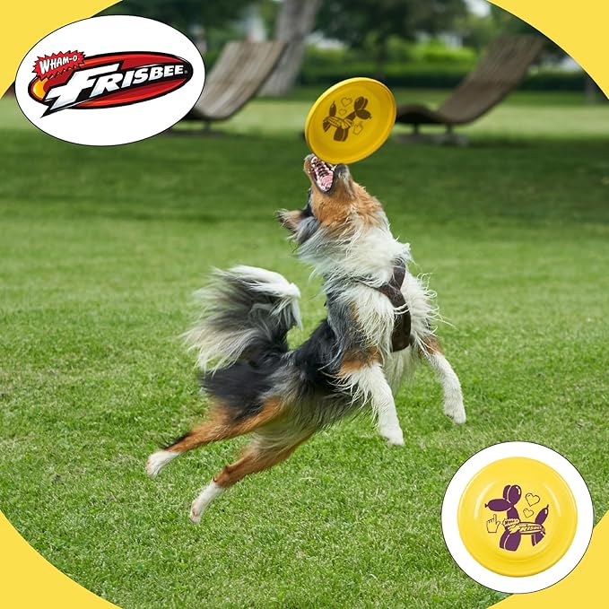 Wham-O Frisbee Fastback Flying Disc, 9.35 Inch Dog-Friendly Lightweight Sports Disc Toy for Outdoor Beach Backyard Games,Team Sports and Family Fun - 100g