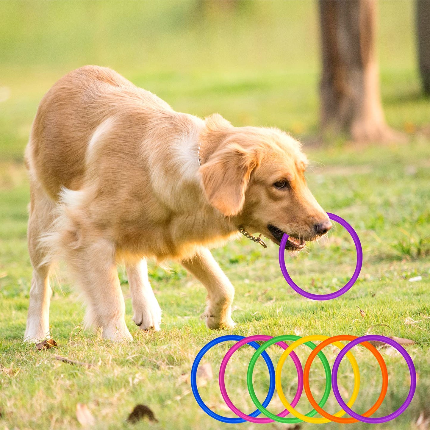Topbuti 24 Pcs Multicolor Plastic Toss Rings Ring Toss Game Carnival Rings for Speed and Agility Practice Games, Garden Backyard Outdoor Games, Bridal Shower Game, Game Booth (3.94 Inch)