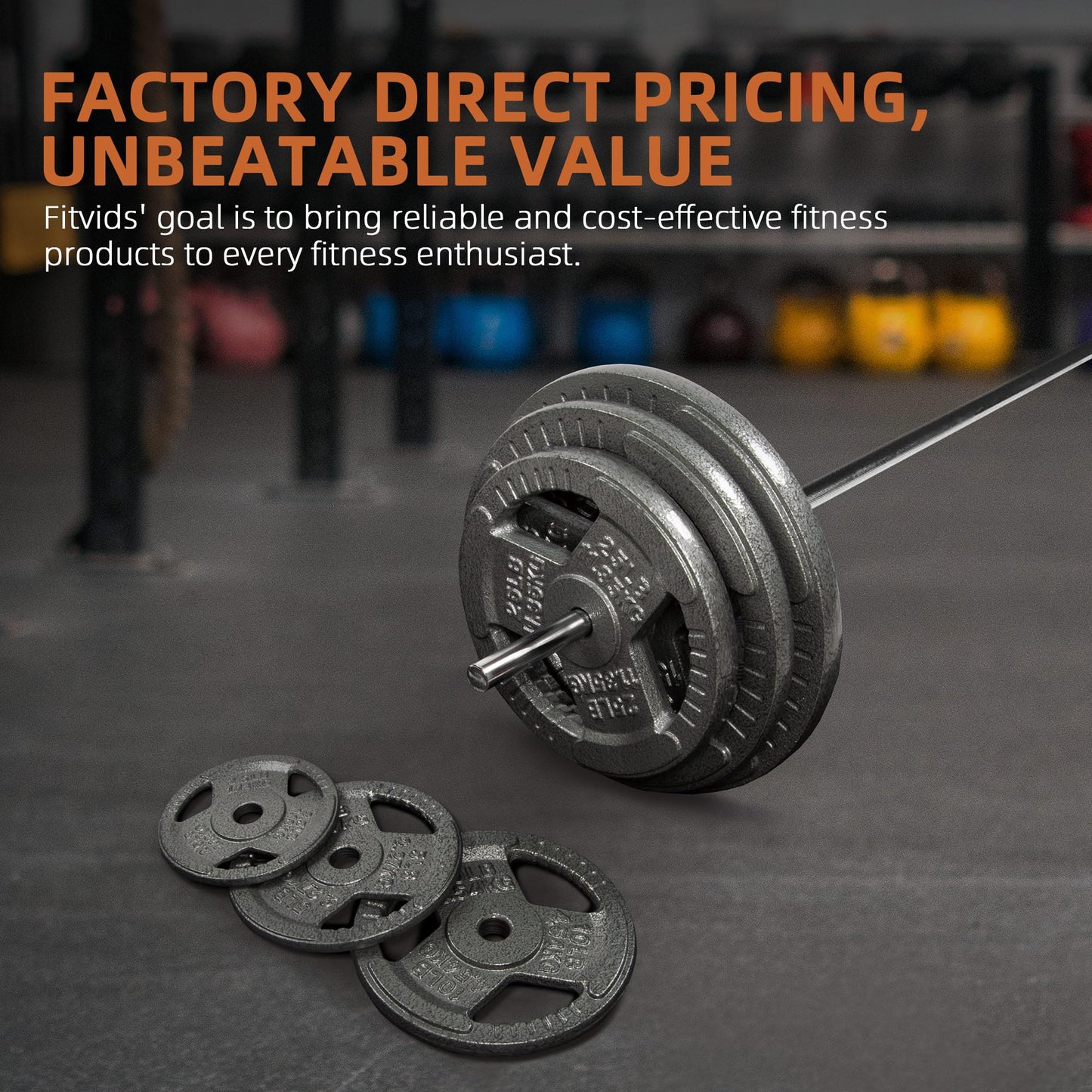 Fitvids 1 Inch Standard Weight Plates, 2x 25 LB Plates for Home Gym Strength Training, Triple-handle Design