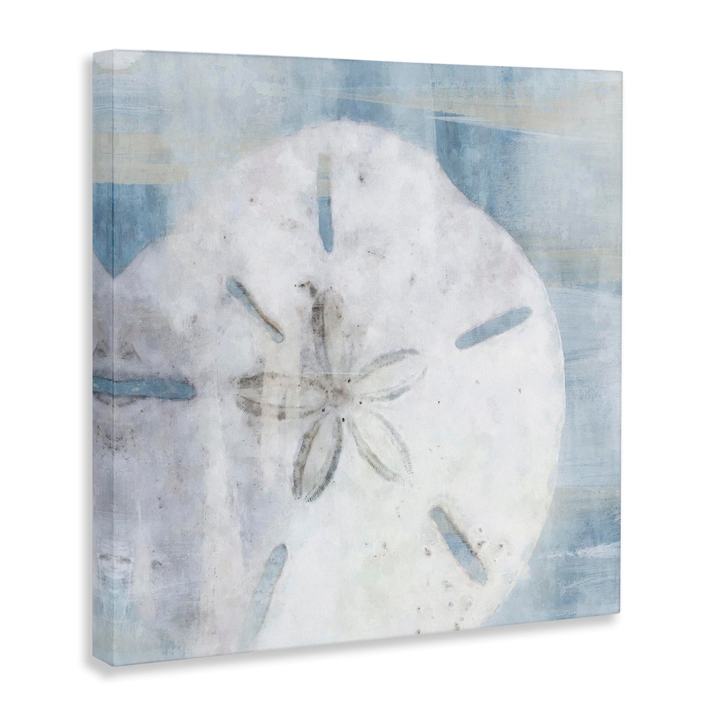 Stupell Industries 'Pastel Blue Sand Dollar Seashell'| Canvas Art
