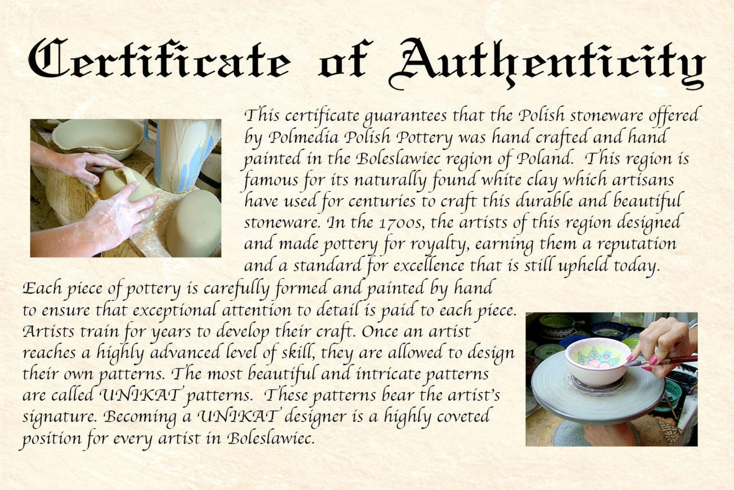 Polmedia Polish Pottery Pasta Bowl 9-inch - Peach Tudor Rose Pattern Handmade in Boleslawiec Poland by Ceramika Bona + Certificate of Authenticity