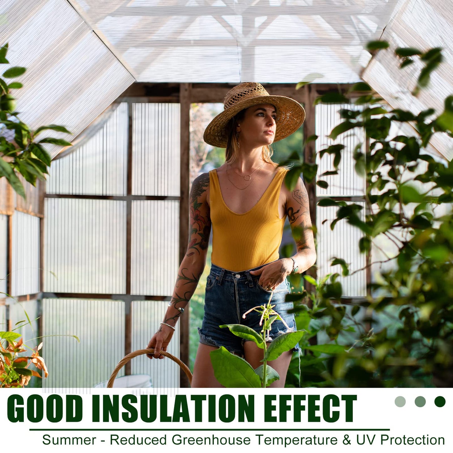 Tatuo 12 Pack 6' X 2' X 0.24'' Polycarbonate Greenhouse Panels Polycarbonate Sheets Twin-Wall Roof Panels Waterproof UV Protected Clear Corrugated Plastic Roofing for Greenhouse Replacement