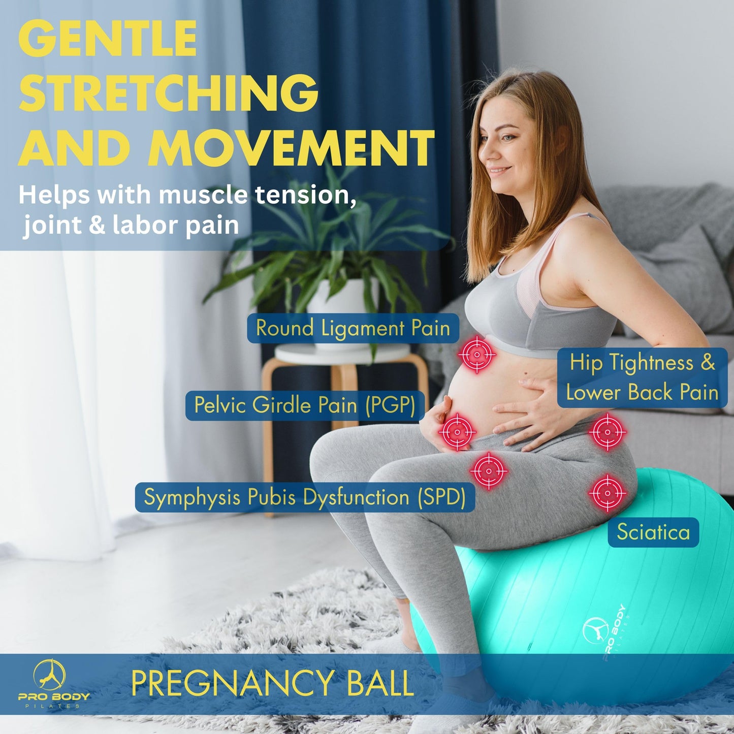 ProBody Pilates Pregnancy Ball - Yoga Ball for Pregnancy with Book, Prenatal, Labor & Postnatal Maternity Exercise (Aqua, 55 cm)