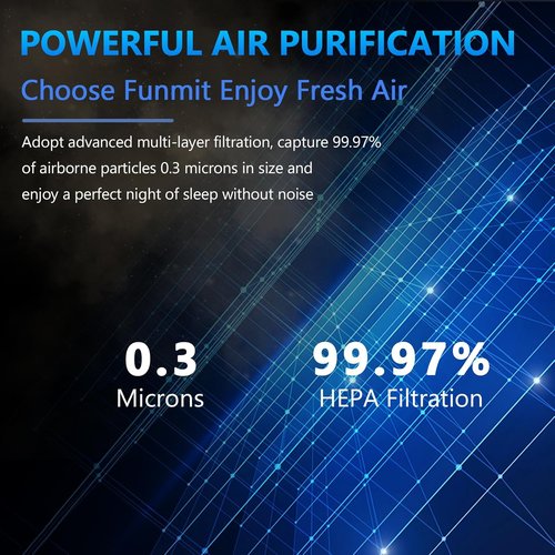 LEVOIT LV-H132 Replacement Filter - 3-in-1 Air Purifier Filter | 2 Pack for Optimal Performance