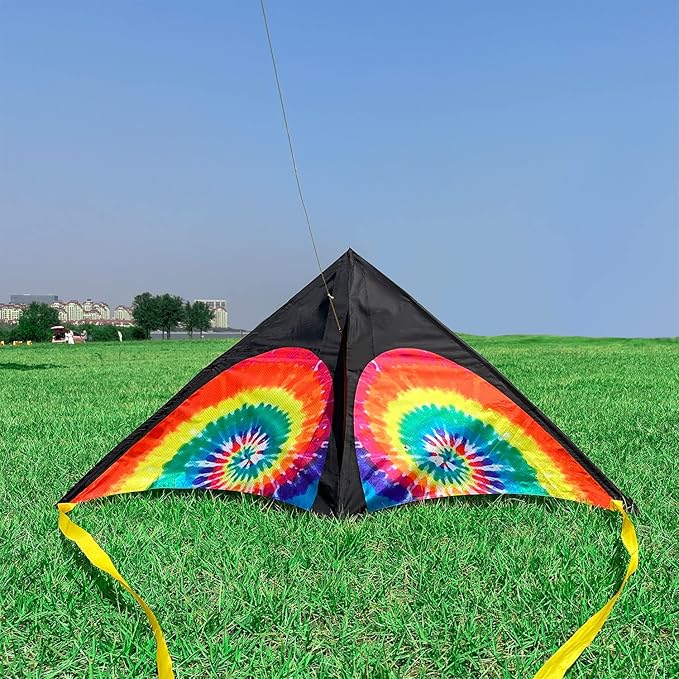Delta Beginner Kite for Kids & Adults, Easy to Fly Beach Kite