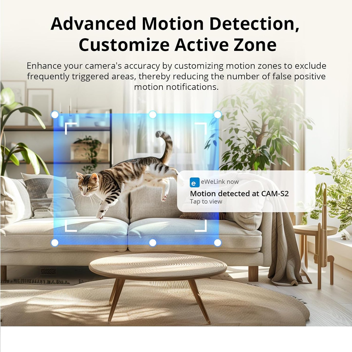 SONOFF CAM-S2 Smart Security Camera, Indoor HD Dog-Camera, Motion Detection for Baby and Pet Monitor
