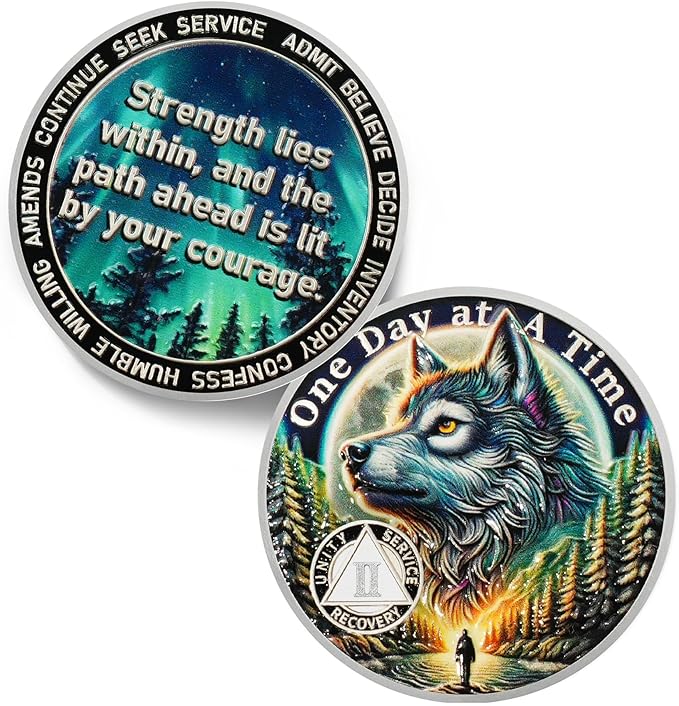 One Day at a Time 2 Year Sobriety Coin - Recovery Aurora Forest Wolf AA Coins - Addiction NA AA Chips and Medallions - Celebrate 1-20 Living Clean Narcotics Alcoholics Anonymous Gifts for Men Women